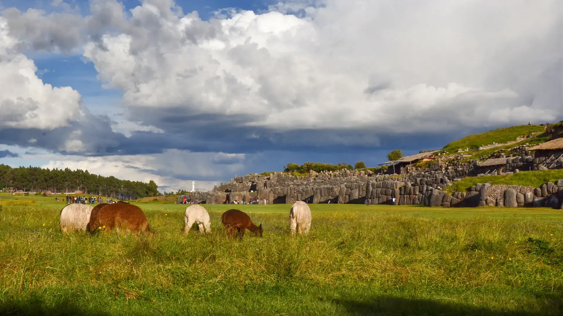 City Tour Cusco